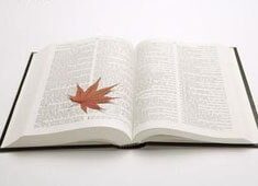 多特蒙德遭遇客场失利，积分榜继续下滑